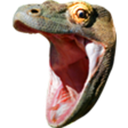 KomodoLeft Discord emoji