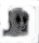 pain pain