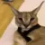 Catastrophe_AngryFloppa