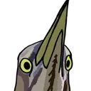 zoop zoop