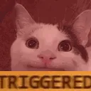 path_triggered