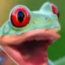 Frogchamp Discord Emoji