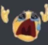 WS_sob