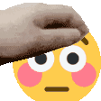 pettheflushed