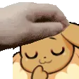 petvee petvee