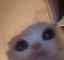peek