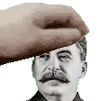 pet_stalin