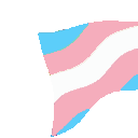 flagtrans1 Discord emoji