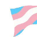 flagtrans1