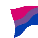flagbi1 flagbi1