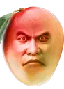 SHIMANGO SHIMANGO