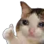 CatSadThumbsUp