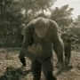 monkedance