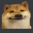 ChillDoge