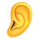Ear