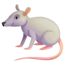 Rat Rat