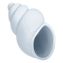 Spiral_Shell