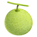 Melon