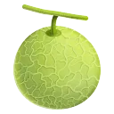 Melon