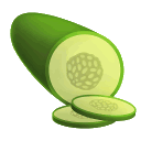 Cucumber