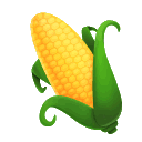 Ear_Of_Corn