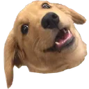 wowee wowee