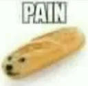 painbred