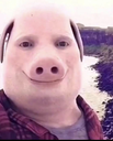 pig Discord emoji
