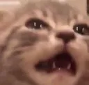 agony