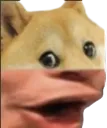 doggers