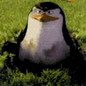 you_didnt_see_anything you_didnt_see_anything
