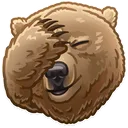 bear_oof bear_oof
