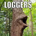 loggers loggers