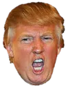 trumpangry