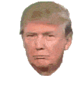 trump_gif_surprised