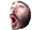 critpog2 critpog2