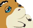 PataBRUH