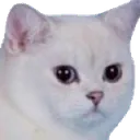 wot
