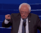 bernie_gif