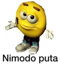 nimodoputa
