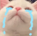 42_ahh_kittysadge 42_ahh_kittysadge