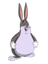 memes_pic_bigchungus
