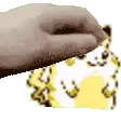 petthepika