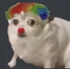 dog_clown