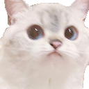 kitten2catnana Discord emoji