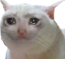 kitten2catsad Discord emoji