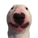 WalterHappySmile