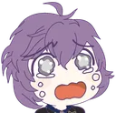 cri cri