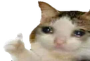 SadDuren_Dw Discord emoji