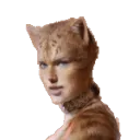 ataycat